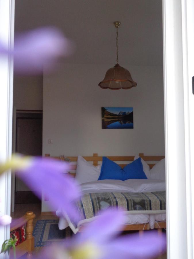 Hotel Garni Suisse San Martino Di Castrozza Exterior photo